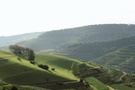 Kaiserstuhl, Badberg
