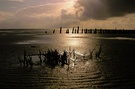 Wattenmeer im Gegenlicht