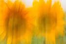 Wind