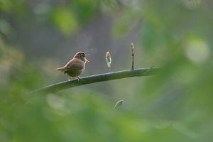 gegen die Herbsttristesse
