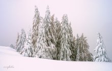 Der nächste Winter kommt bestimmt