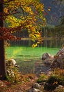 idyllisches Plätzchen im Herbst