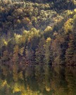 Herbstlicht