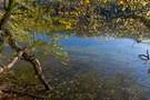 Herbststimmung in der Ajoie