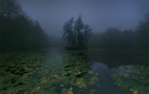 Nebliger Herbstmorgen am Teich