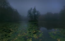 Nebliger Herbstmorgen am Teich