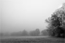 Flusslandschaft im Nebel