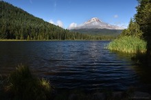 Mount Hood