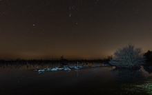 ____Nacht im Moor___