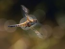 Flug durch die Reflexe