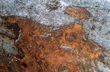 Er kam aus dem All Sikhote-Alin (Meteorit)