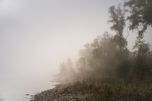 Moselufer im Nebel