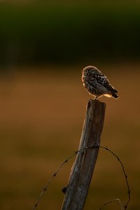 Ein Abend nach meinem Geschmack