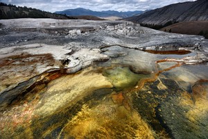 Mammoth Hot Springs ...,