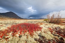 Herbst im Rondane