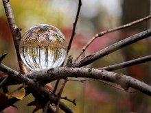 Glaskugel auf Naturstativ