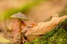Kleiner Mann im Herbstlaub