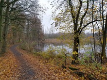 Herbst im Tegeler Fließtal