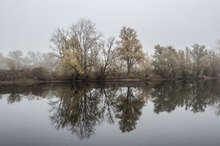 Herbstruhe an der Weser