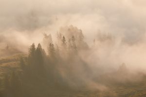 Herbstnebel