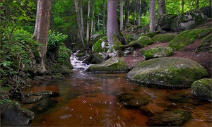 *Ysperklamm- Nachtrag*