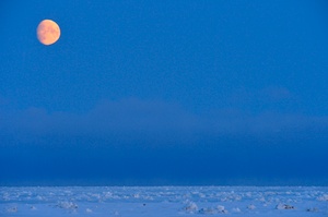 Mond über dem Eis