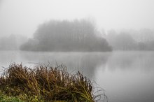 Nebel am See