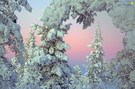 Winter im Hohen Norden
