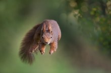 Flug ins Neue Jahr