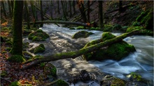 Am Alfbach in der Strohner Schweiz