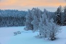 Winterlandschaft an der Rovaniementie