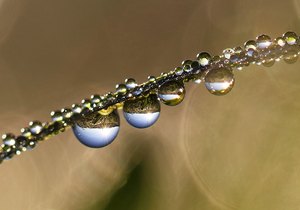 Tränen der Natur(?)