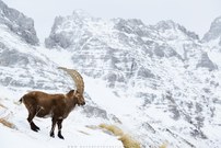 Gänsehautmomente