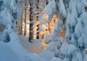 Winterbild