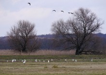 Märkische Landschaft ...