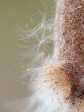 Ordnung und Chaos in der Natur