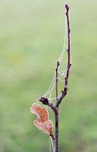 Natur malt überall