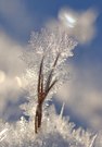 Eiskristall-Schmuck