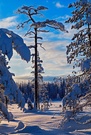 Lappland Winterlandschaft