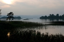 Zürisee am Abend Naturschutzgebiet am Seedamm