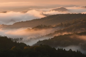 Morgennebel