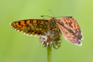 Kuschelwetter