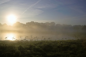 Frühnebel