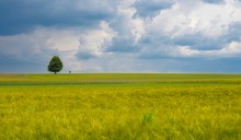 Sommer-Vorschau