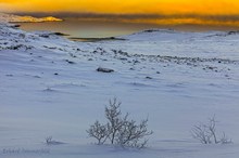 Varangerfjorden