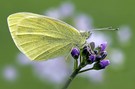 Der Frühling kommt!