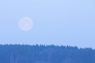 Mond