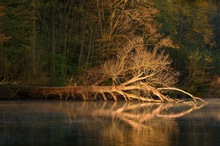 Aufgehende Sonne am Bärensee