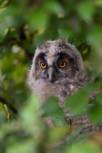 Den Fotografen immer im Blick