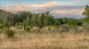 *Makrorevier Lobau*